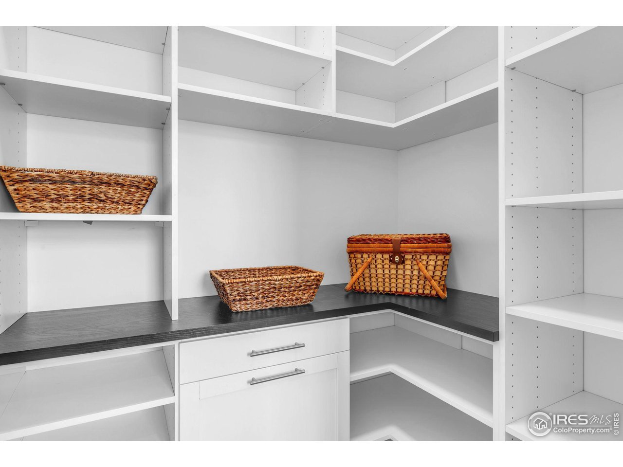 1415 Riverside Avenue Boulder, CO 80304 - Photo 18 of 40 Walk-In Pantry