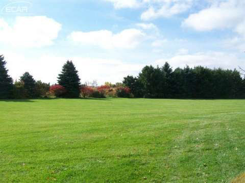 11467 West Pierson Road Flushing, MI 48433 - Photo 7 of 29 20423707-6.JPG