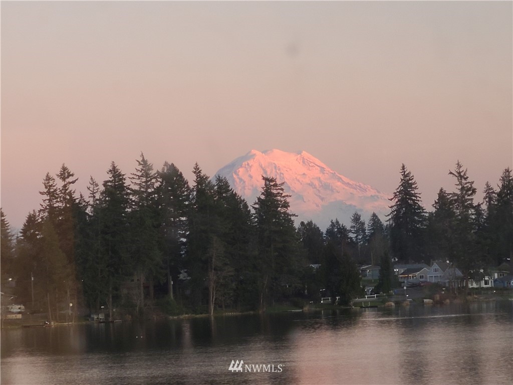 1107 Creso Road South Spanaway, WA 98387 - Photo 4 of 39
