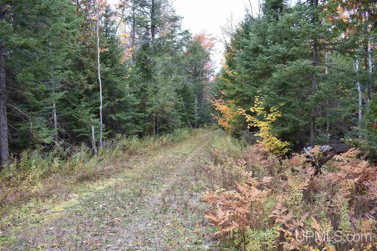 9-acres Deerton Road Deerton, MI 49822 - Photo 33 of 37 Gallery Image 33