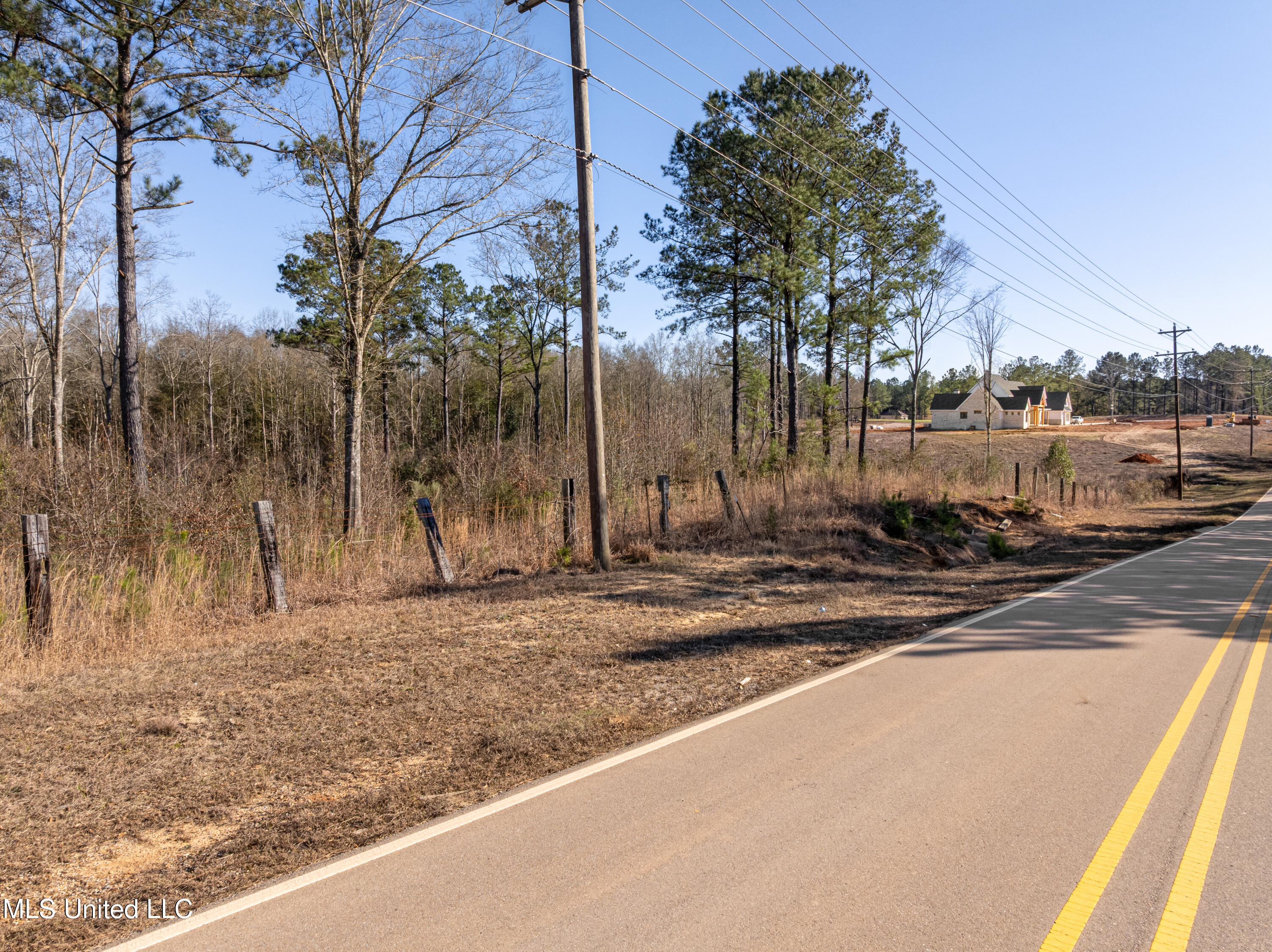 5.5 Acres Lynn Ray Road Petal, MS 39465 - Photo 3 of 15 Lynn_Ray_Road-3
