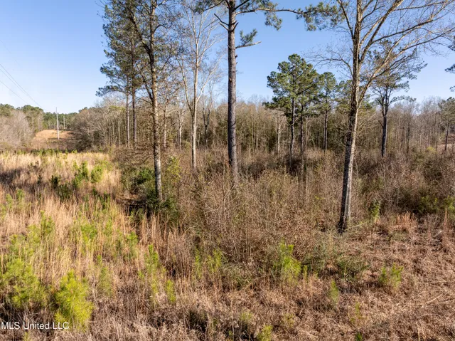 $82,500 | 5.5 Acres Lynn Ray Road, Petal, MS 39465