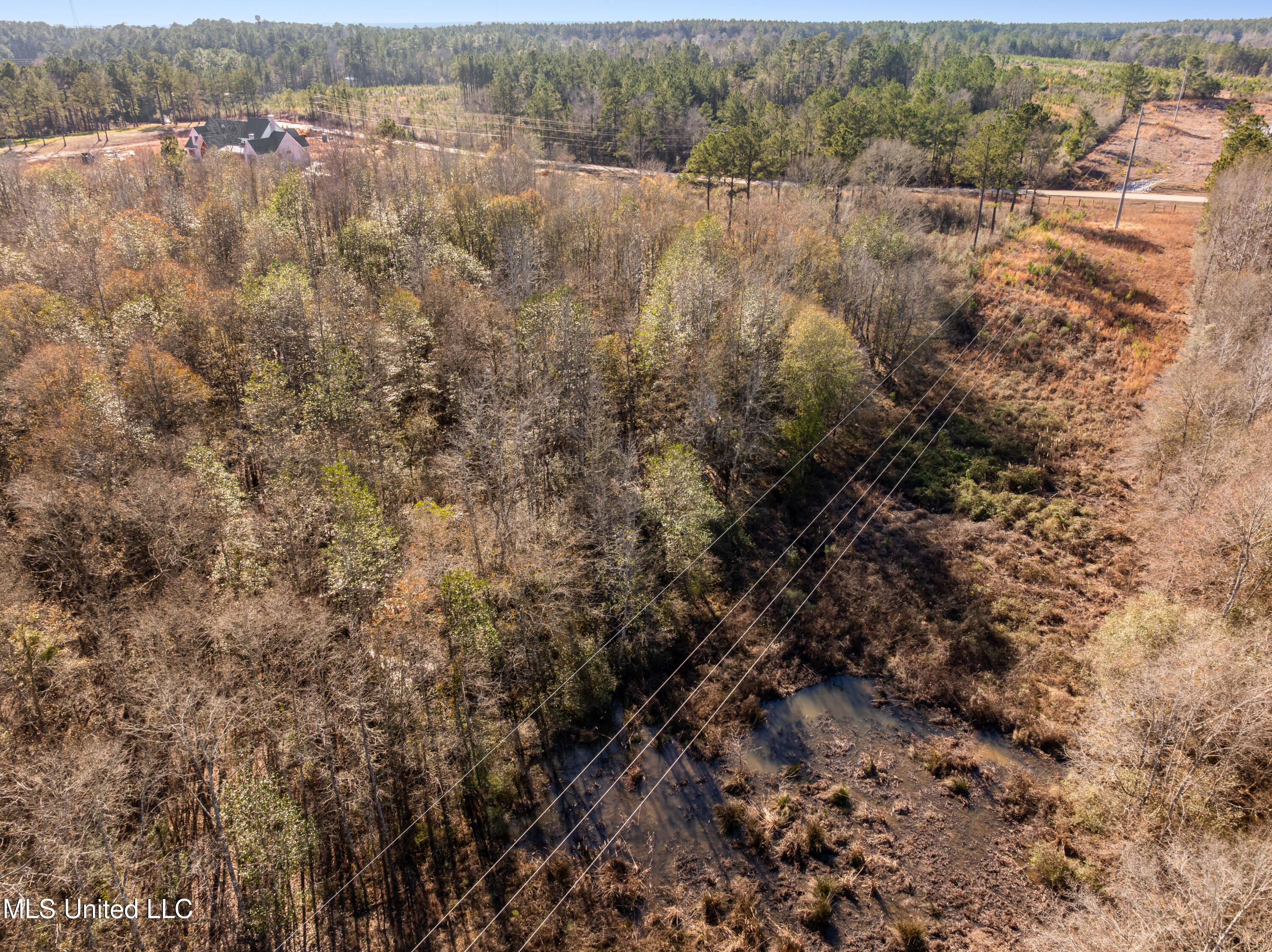 5.5 Acres Lynn Ray Road Petal, MS 39465 - Photo 6 of 15 Lynn_Ray_Road-6