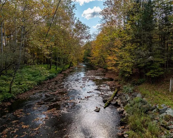 a view of a forest with trees