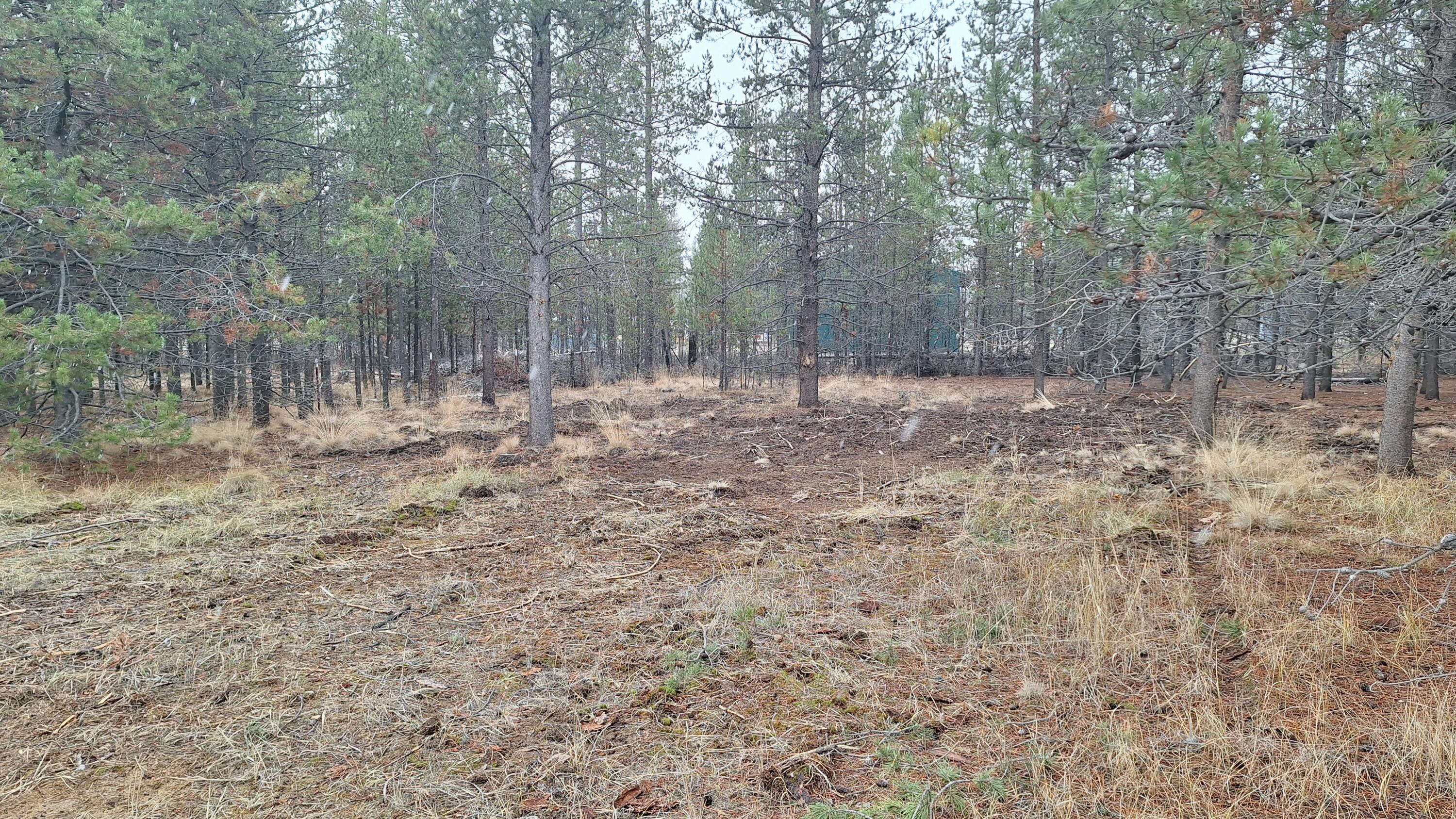 16083 Burgess Road La Pine, OR 97739 - Photo 11 of 19 20241116_144345
