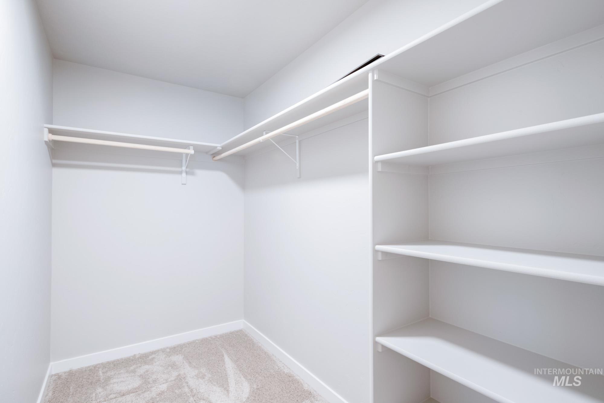 7256 South Menzingers Avenue Meridian, ID 83642 - Photo 21 of 23 Spacious closet with light carpet