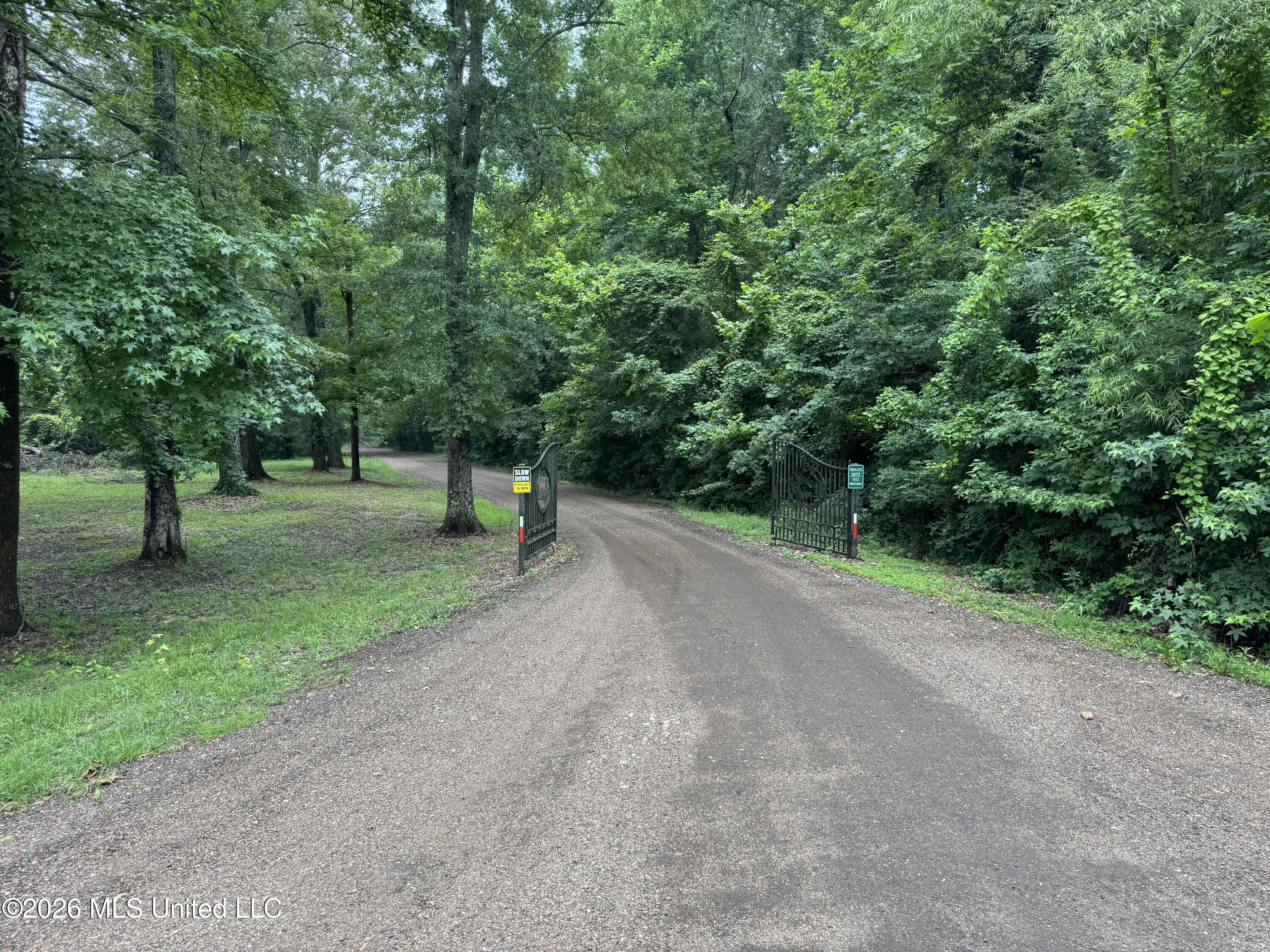 142 Iron Oak Ridge Brandon, MS 39042 - Photo 3 of 26 IMG_0207