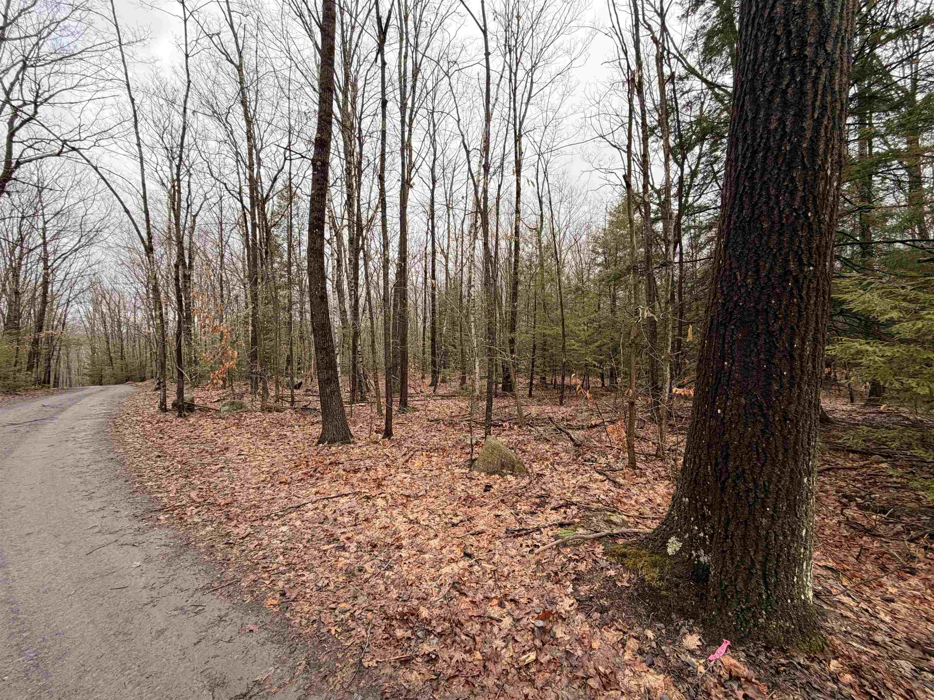 0 Old Walpole/valley View Road Keene, NH 03431 - Photo 19 of 23