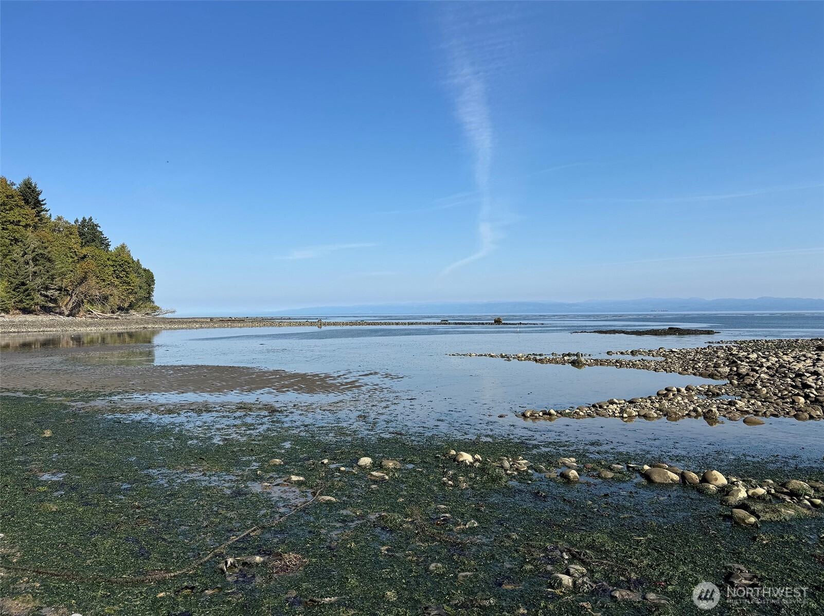 888 Farrington Road Port Angeles, WA 98363 - Photo 8 of 40 Gallery Image 8