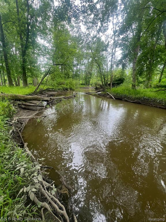0 Ducker Road Marlette, MI 48453 - Photo 22 of 44
