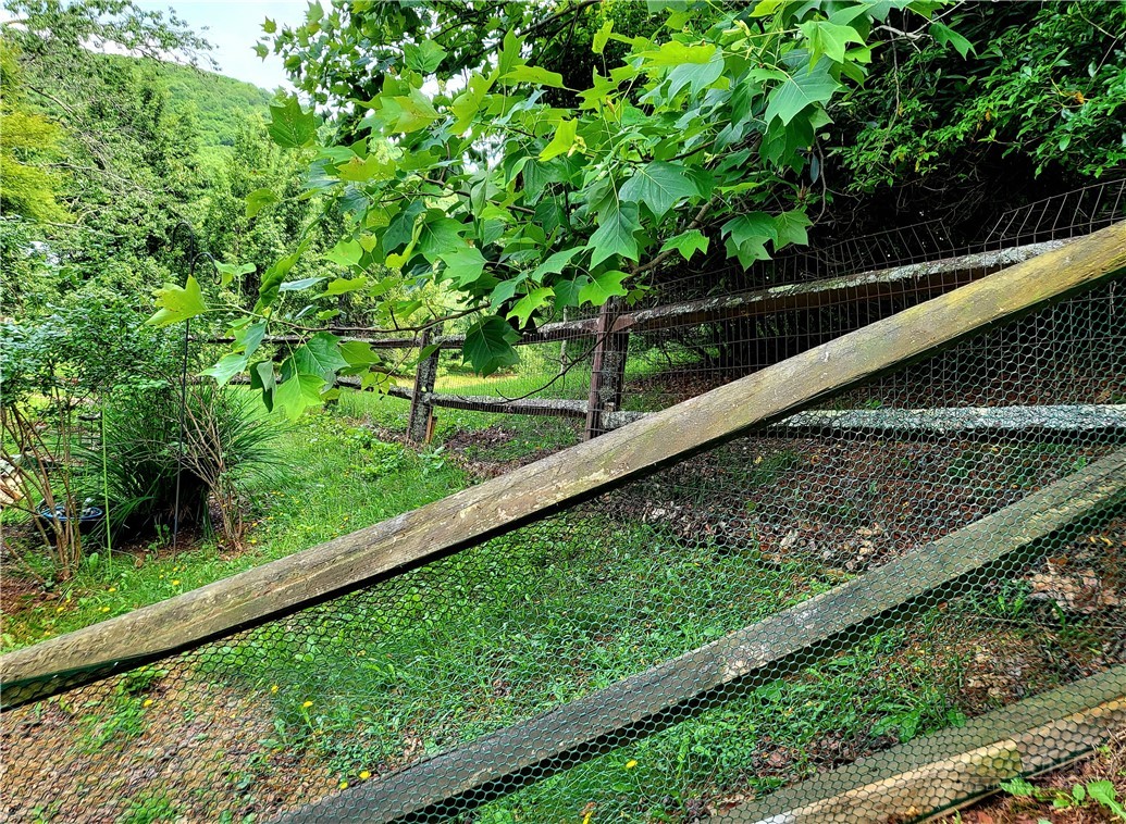 2206 George Hayes Road Boone, NC 28607 - Photo 46 of 46