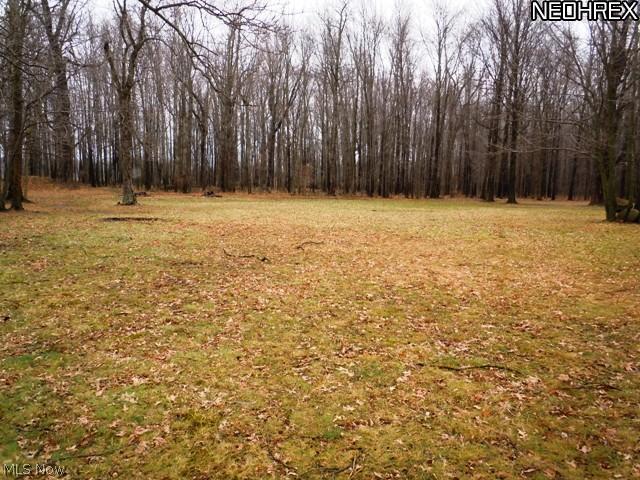 36419 Chestnut Ridge Road North Ridgeville, OH 44039 - Photo 17 of 18