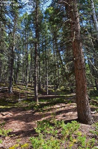 121 Agate Road Florissant, CO 80816 - Photo 9 of 12
