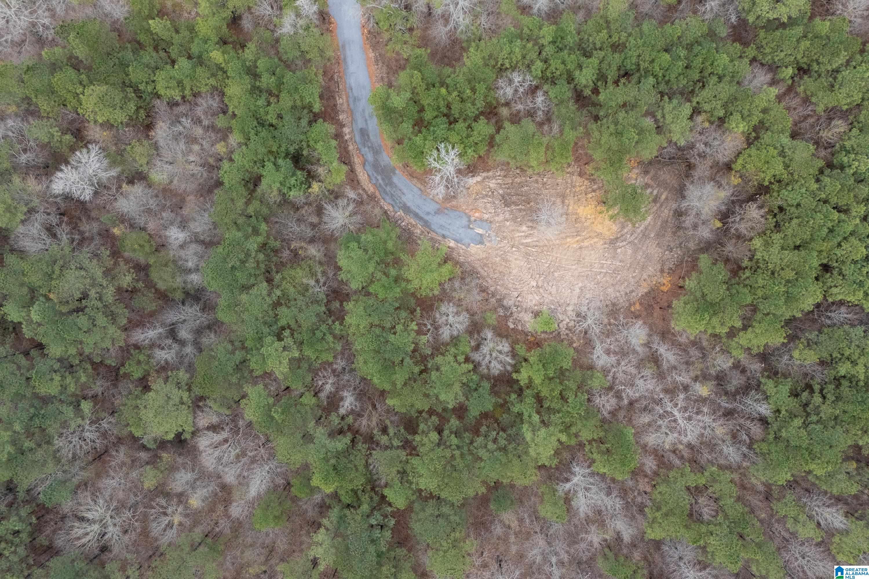 7 Fisher Phillips, Unit 7 Ashville, AL 35953 - Photo 26 of 28