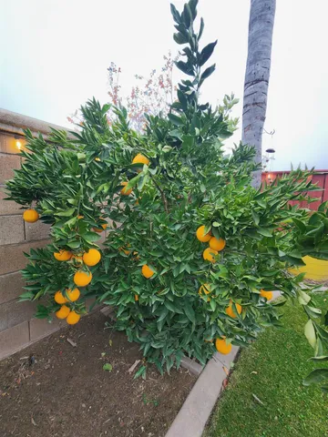 $509,999 | 2500 Cottage Pointe Drive, Riverbank, CA 95367