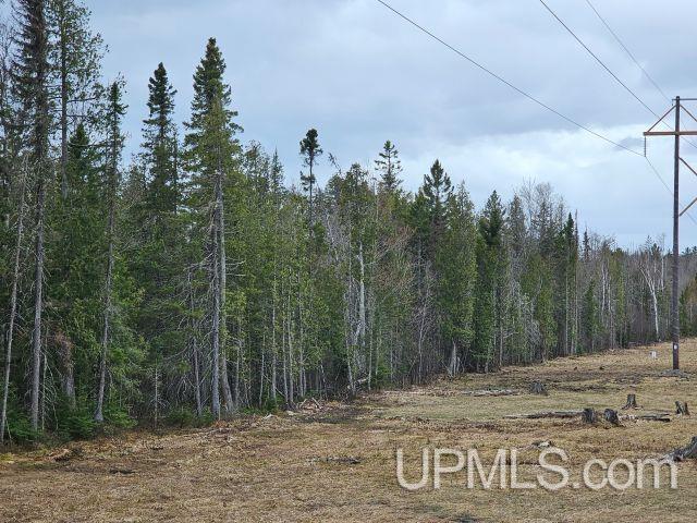 120-acres 120-acres Off Co Road Ishpeming, MI 49849 - Photo 6 of 7