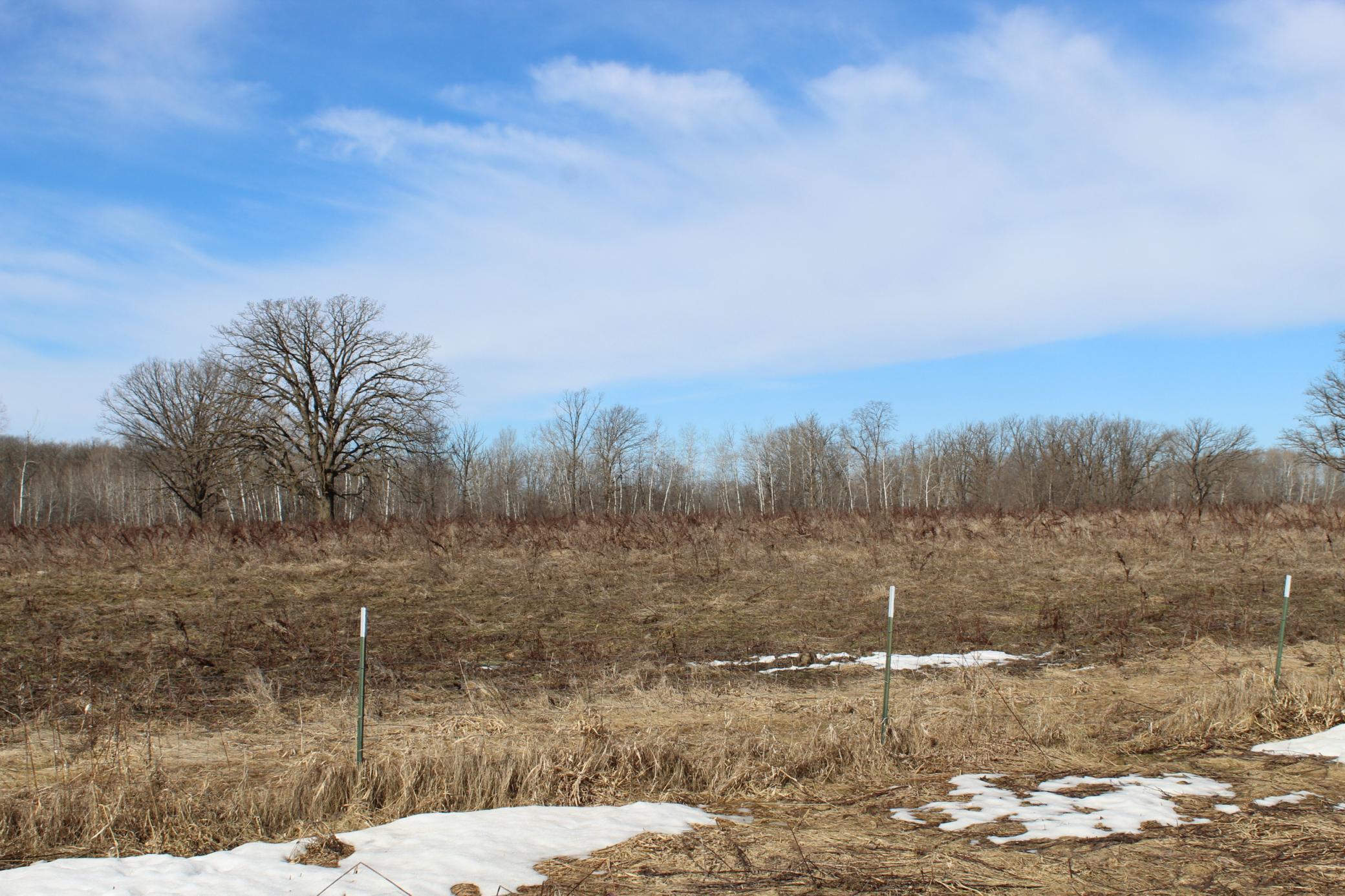 19043 80th Avenue Milaca, MN 56353 - Photo 22 of 25