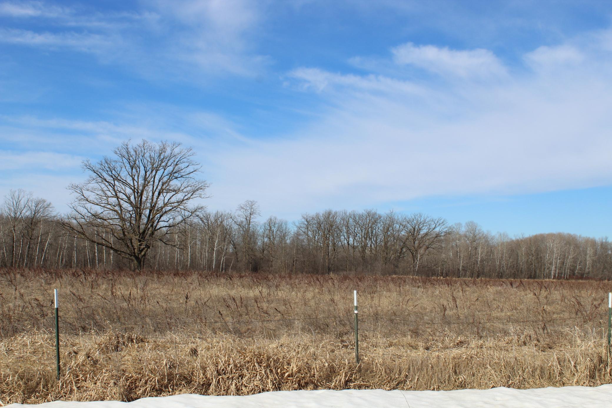19043 80th Avenue Milaca, MN 56353 - Photo 23 of 25
