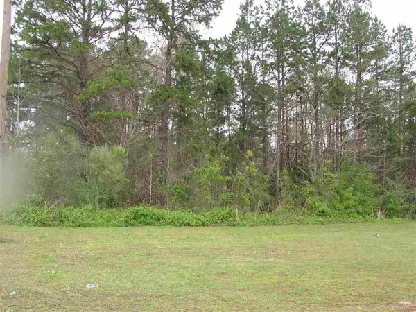 a view of a green field