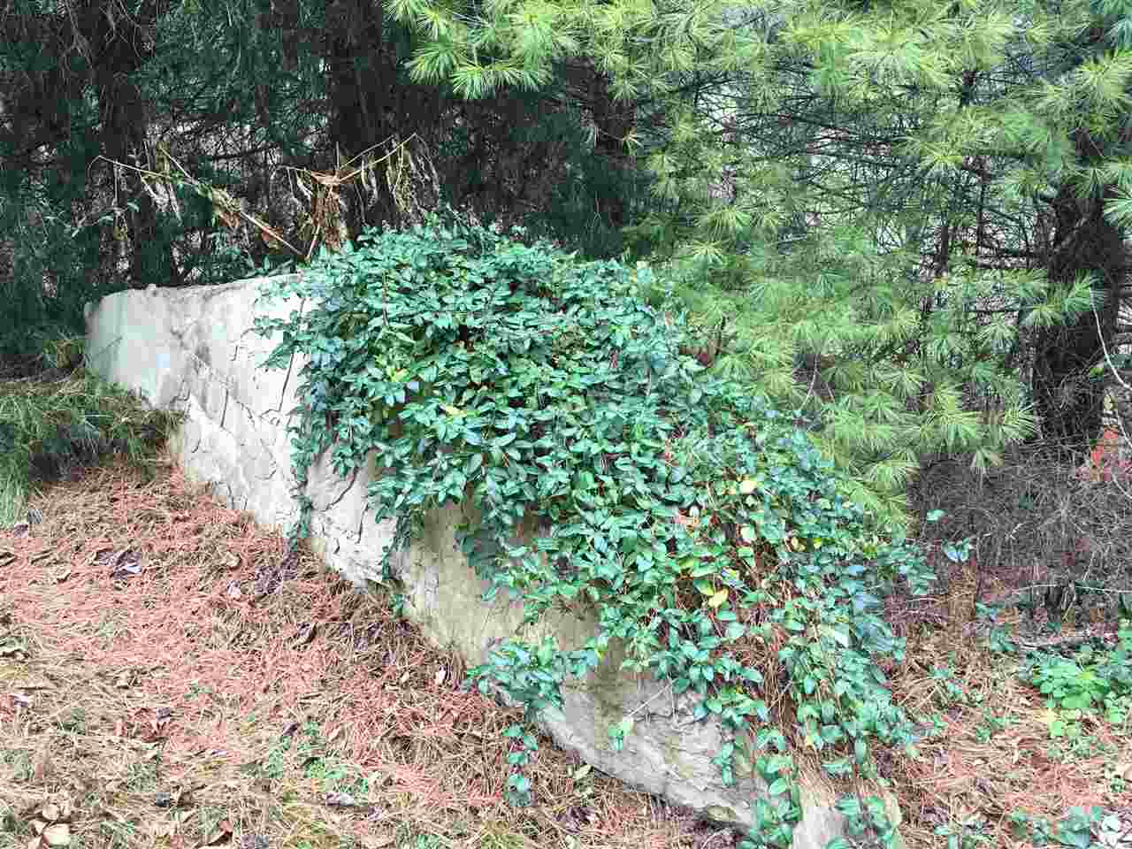 96 Swoope Road Swoope, VA 24479 - Photo 8 of 27 a plant view in yard