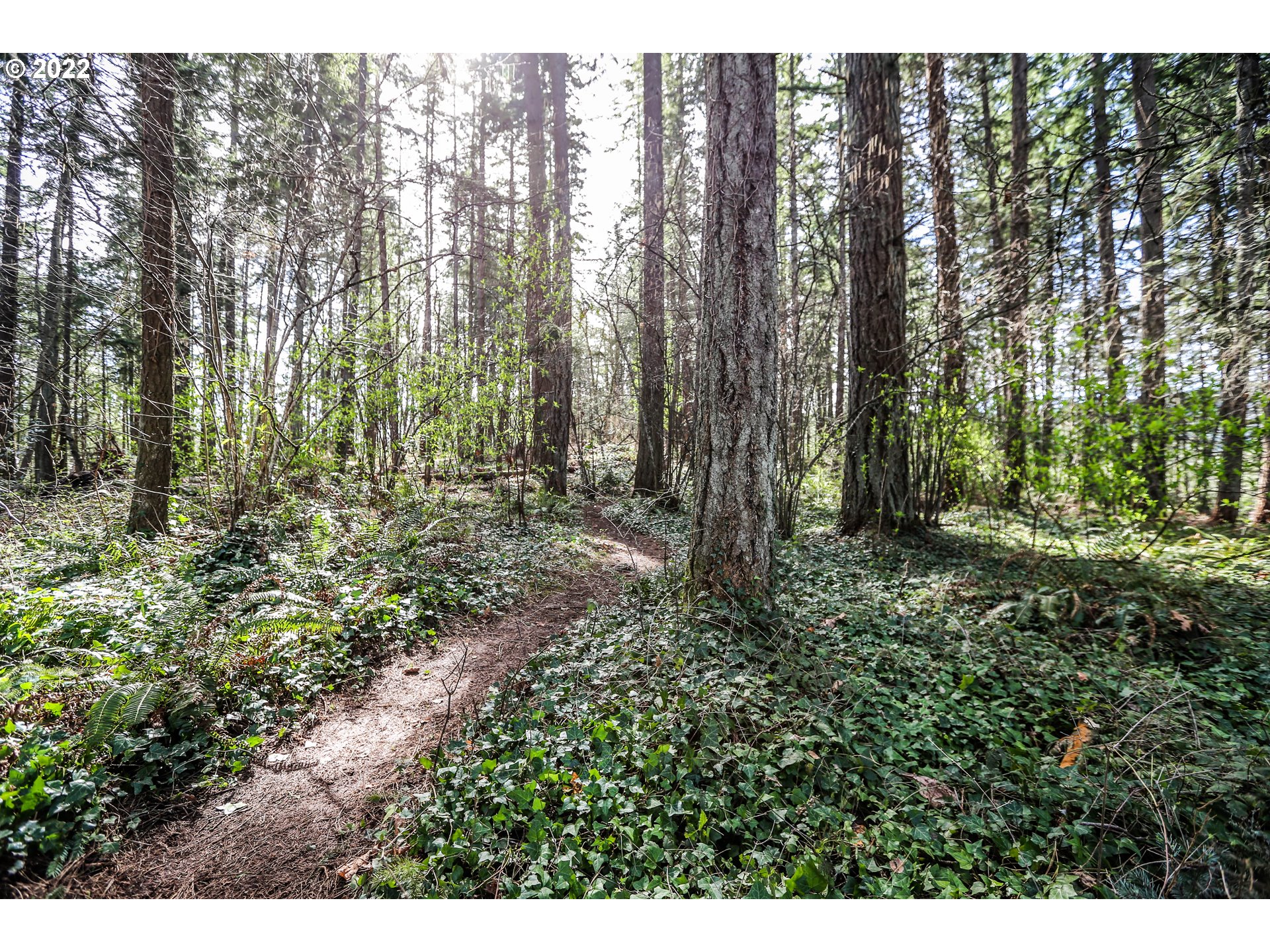4516 Fox Hollow Road Eugene, OR 97405 - Photo 26 of 32 Gallery Image 26