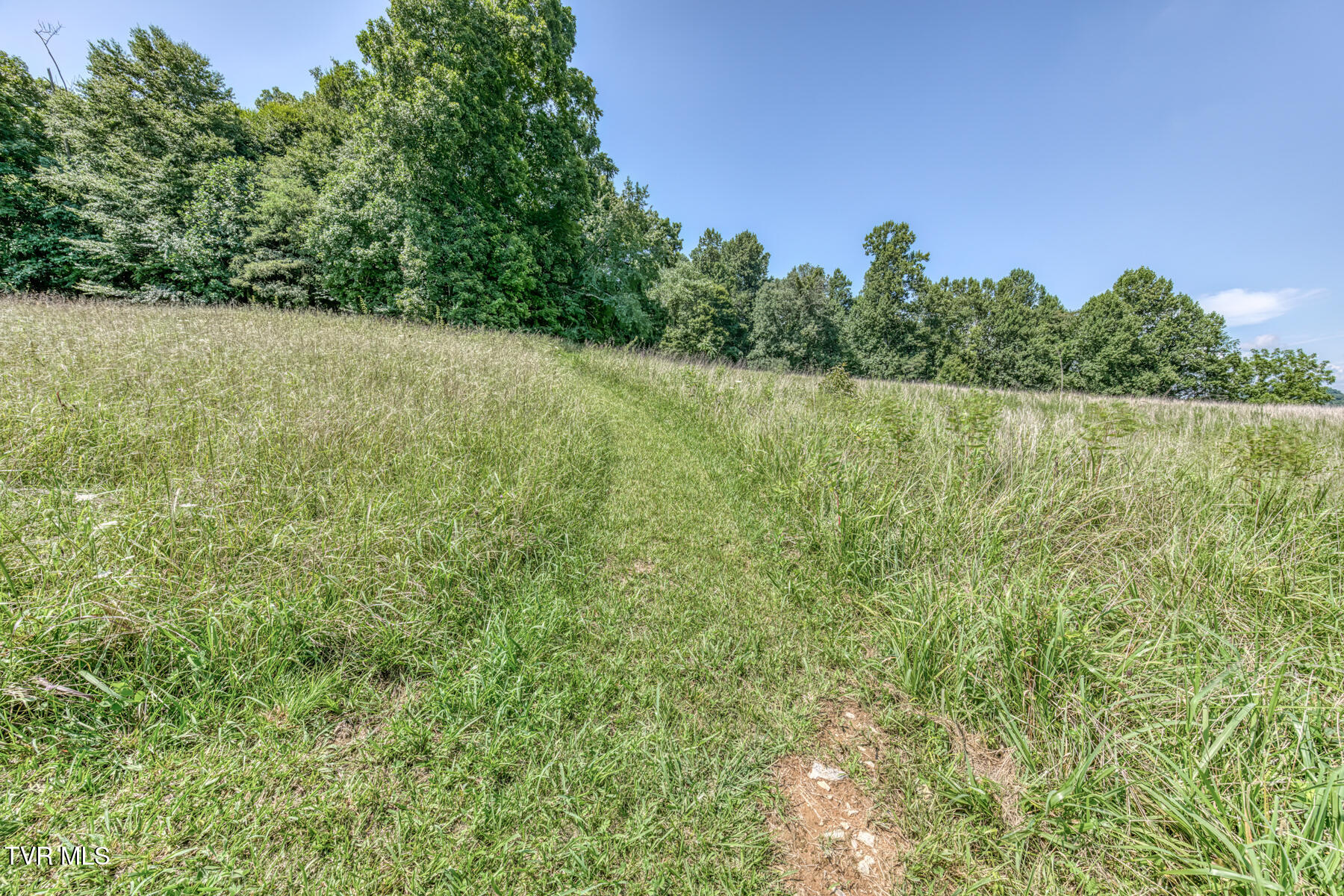 250 Adams Road Blountville, TN 37617 - Photo 54 of 77 250 Adams Rd-54