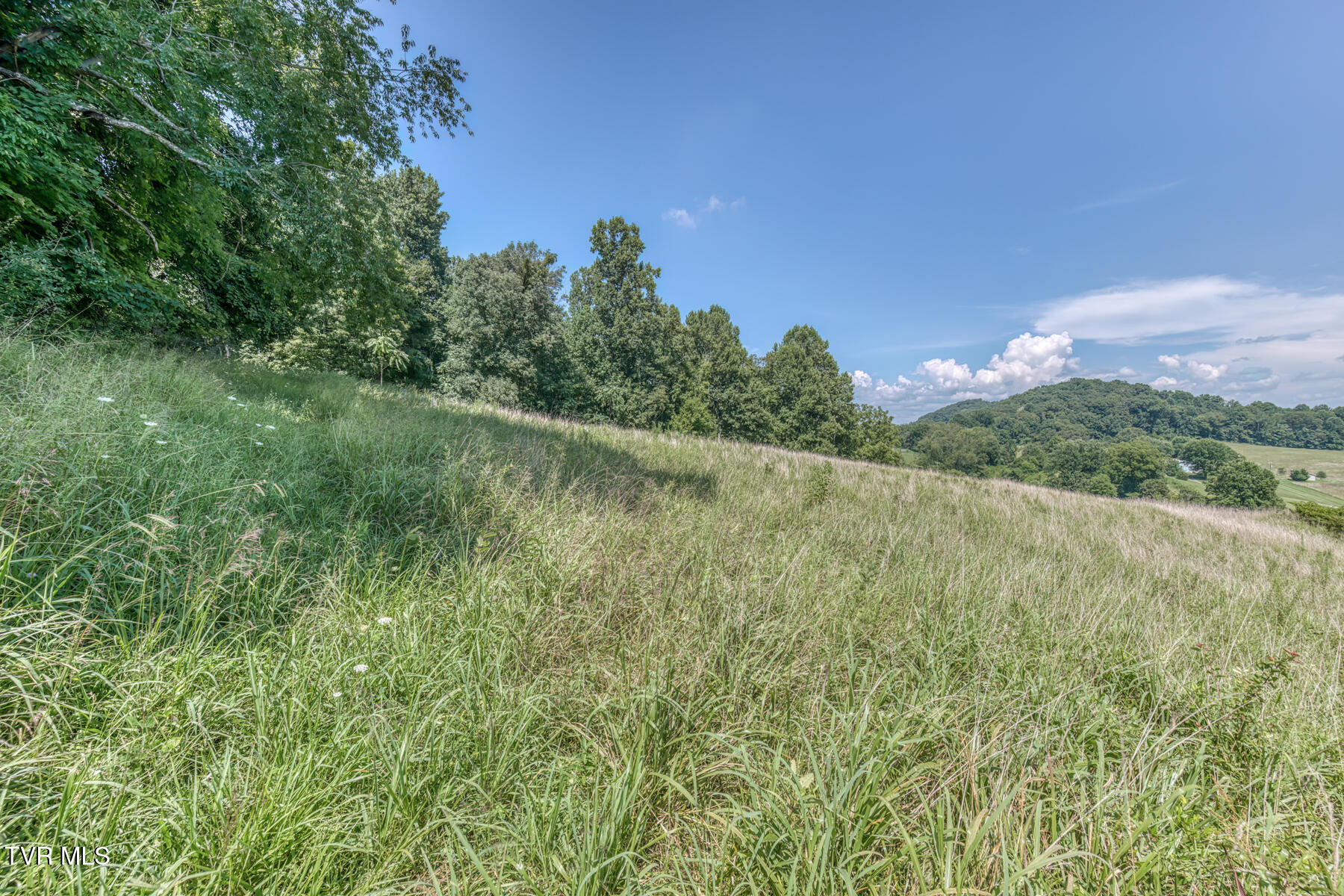250 Adams Road Blountville, TN 37617 - Photo 56 of 77 250 Adams Rd-56