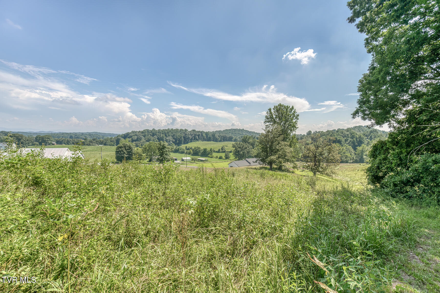 250 Adams Road Blountville, TN 37617 - Photo 60 of 77 250 Adams Rd-60