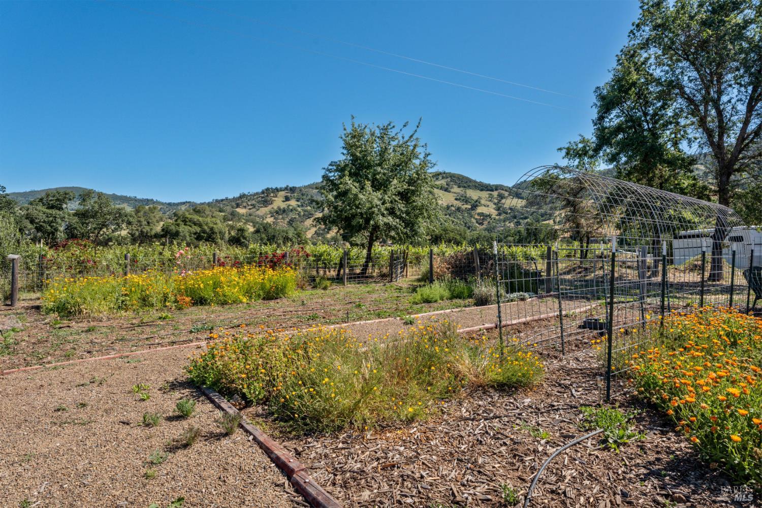 3050 Rd I Redwood Valley, CA 95470 - Photo 39 of 49