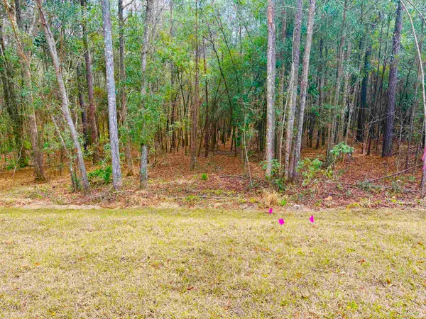 $325,000 | 305 Deloris Madison Drive, Midway, FL 32343