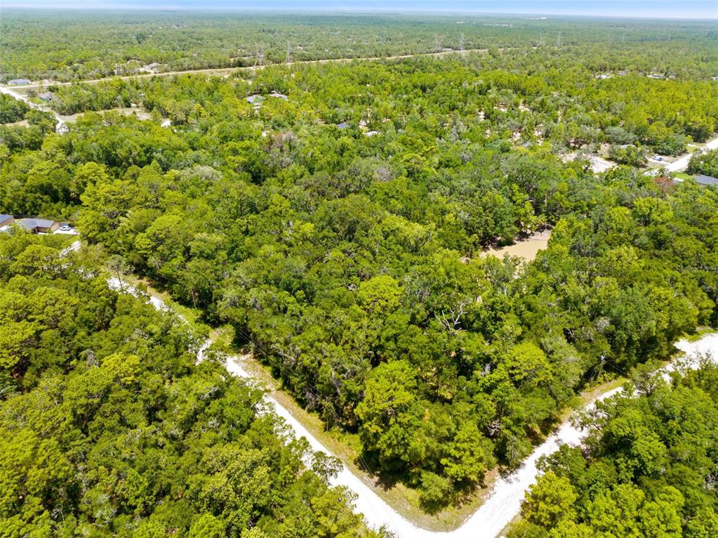 0 Ricebird Avenue, Unit LOT 89 Weeki Wachee, FL 34614 - Photo 3 of 27