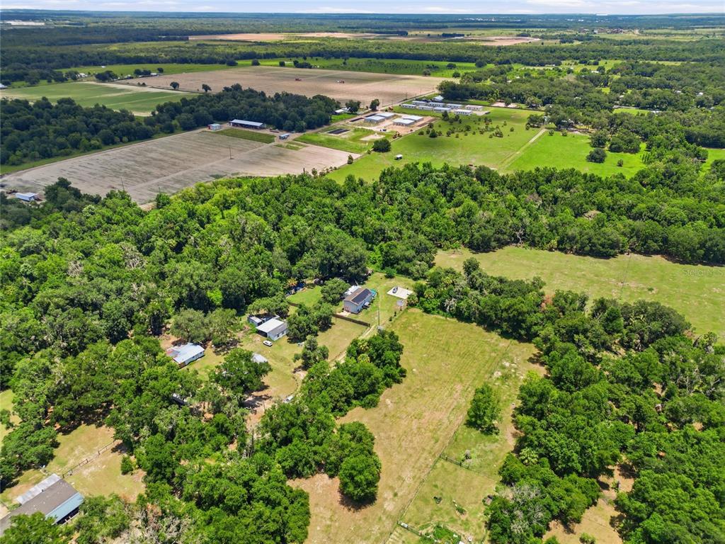 3126 Toole Road Lithia, FL 33547 - Photo 64 of 66