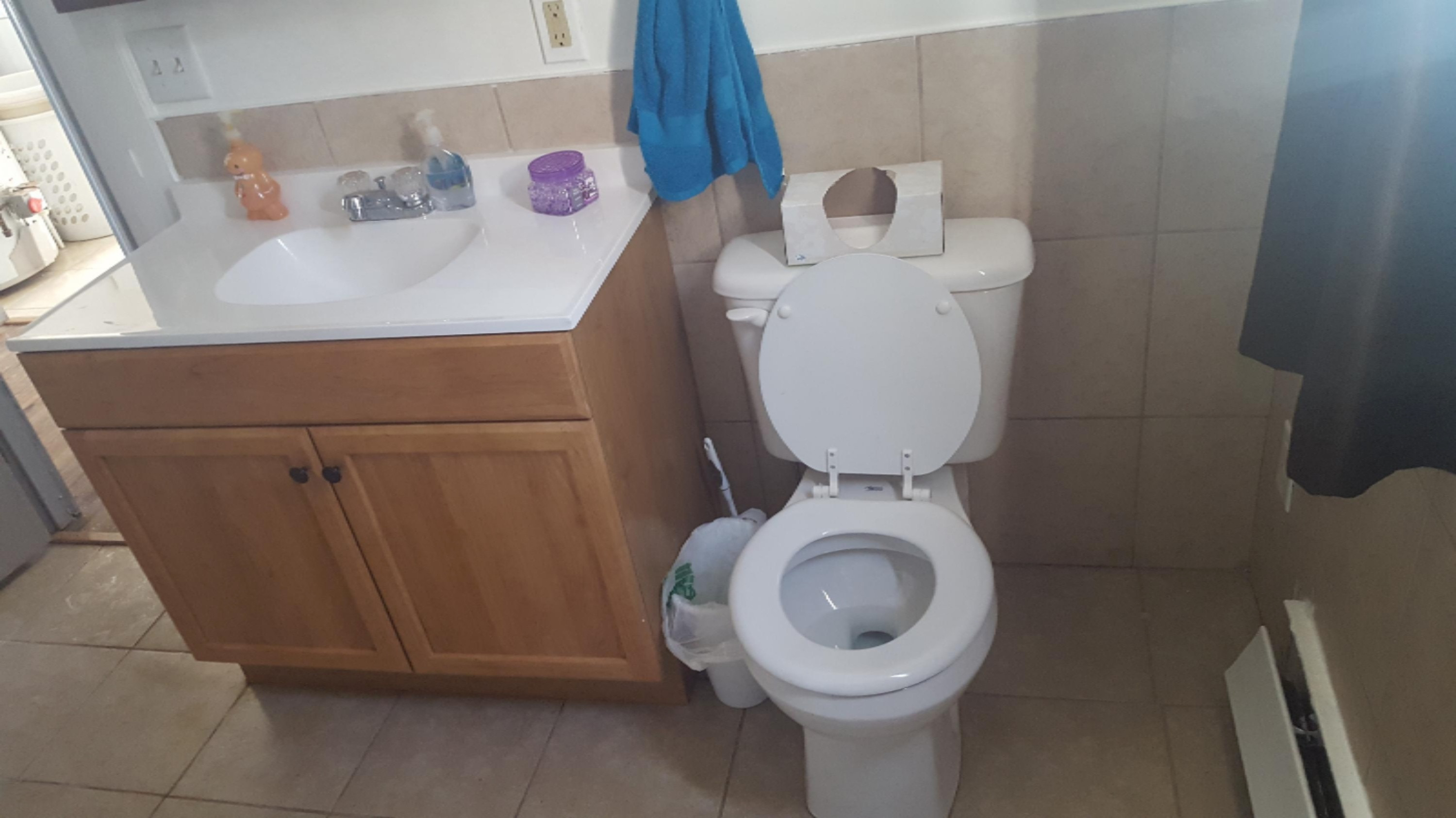 105 North Mike Street Fountain, MI 49410 - Photo 13 of 24 New 12