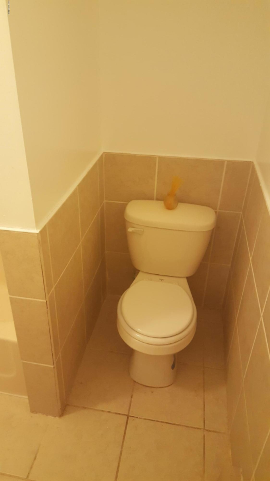 105 North Mike Street Fountain, MI 49410 - Photo 16 of 24 New 14