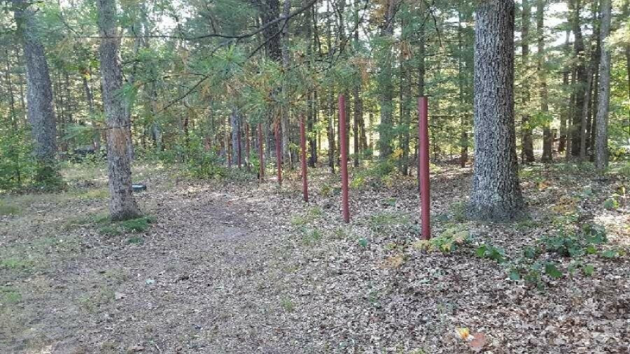 105 North Mike Street Fountain, MI 49410 - Photo 24 of 24 IMG_1722