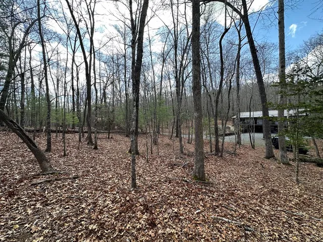 $79,900 | Lot 20 Black Oak Road, Cherry Log, GA 30522