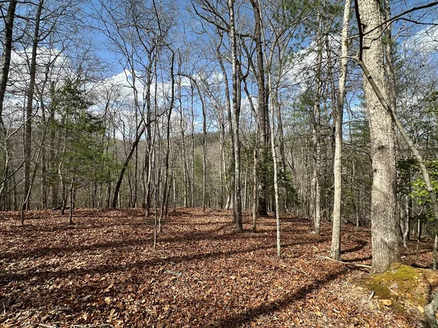 $79,900 | Lot 20 Black Oak Road, Cherry Log, GA 30522