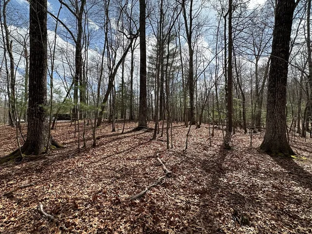$79,900 | Lot 20 Black Oak Road, Cherry Log, GA 30522