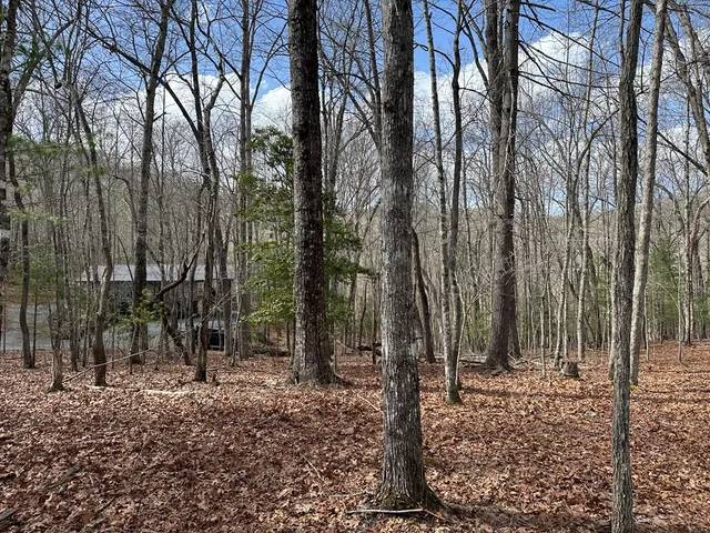$79,900 | Lot 20 Black Oak Road, Cherry Log, GA 30522