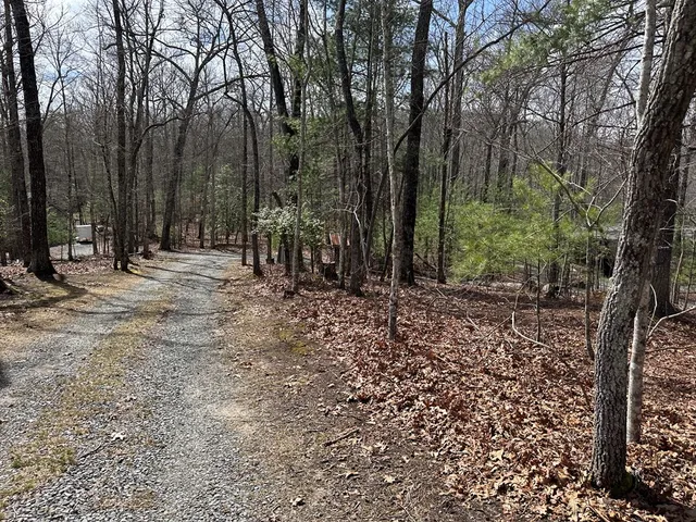 $79,900 | Lot 20 Black Oak Road, Cherry Log, GA 30522
