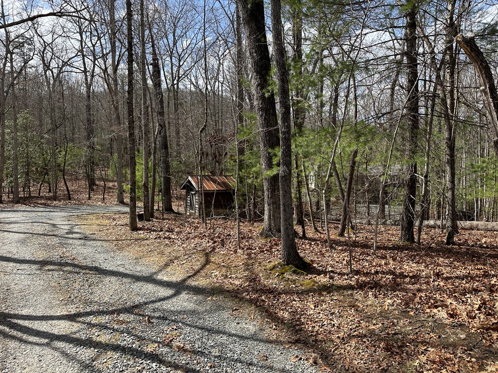 Lot 20 Black Oak Road Cherry Log, GA 30522 - Photo 25 of 46