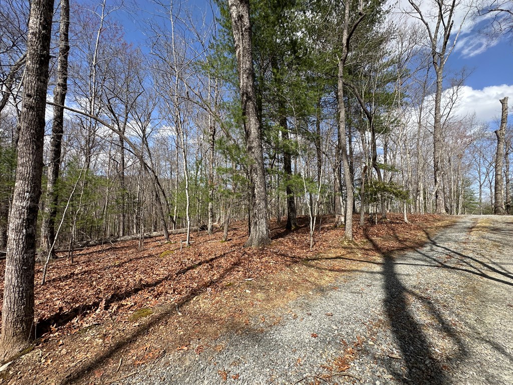 Lot 20 Black Oak Road Cherry Log, GA 30522 - Photo 26 of 46