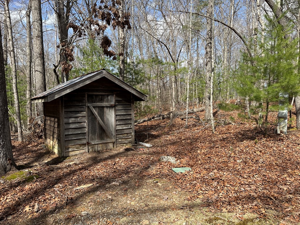 Lot 20 Black Oak Road Cherry Log, GA 30522 - Photo 29 of 46