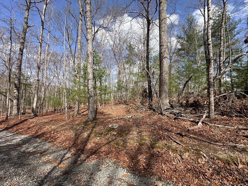 Lot 20 Black Oak Road Cherry Log, GA 30522 - Photo 32 of 46