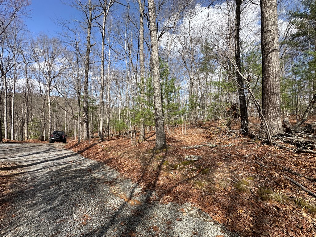 Lot 20 Black Oak Road Cherry Log, GA 30522 - Photo 33 of 46