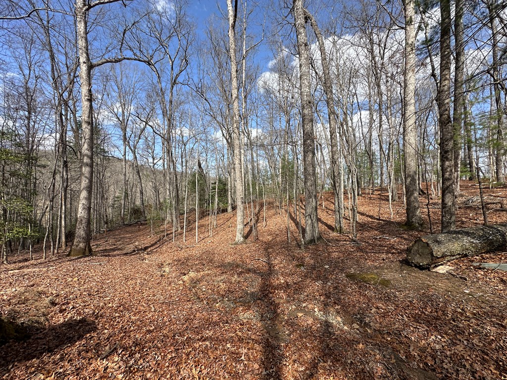 Lot 20 Black Oak Road Cherry Log, GA 30522 - Photo 34 of 46