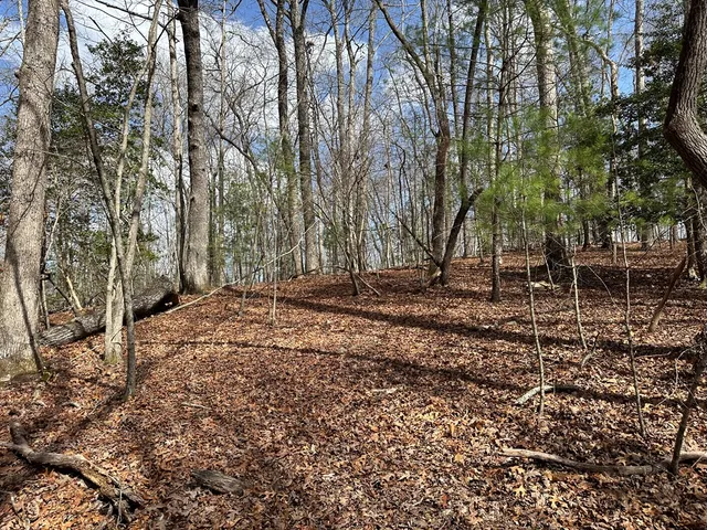 $79,900 | Lot 20 Black Oak Road, Cherry Log, GA 30522