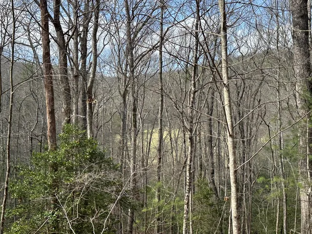 $79,900 | Lot 20 Black Oak Road, Cherry Log, GA 30522