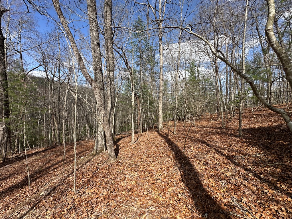 Lot 20 Black Oak Road Cherry Log, GA 30522 - Photo 39 of 46