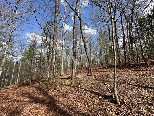 $79,900 | Lot 20 Black Oak Road, Cherry Log, GA 30522
